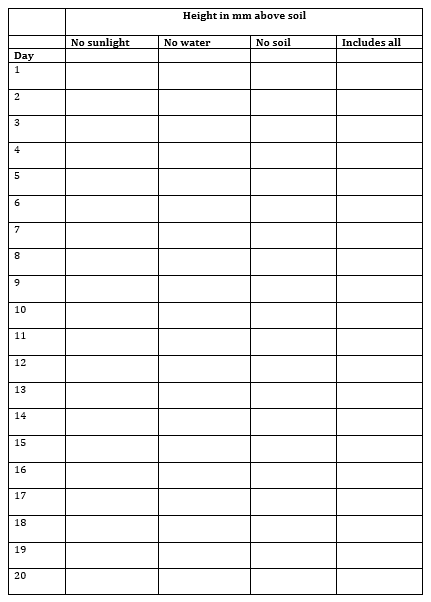Fun math activities to do with your children