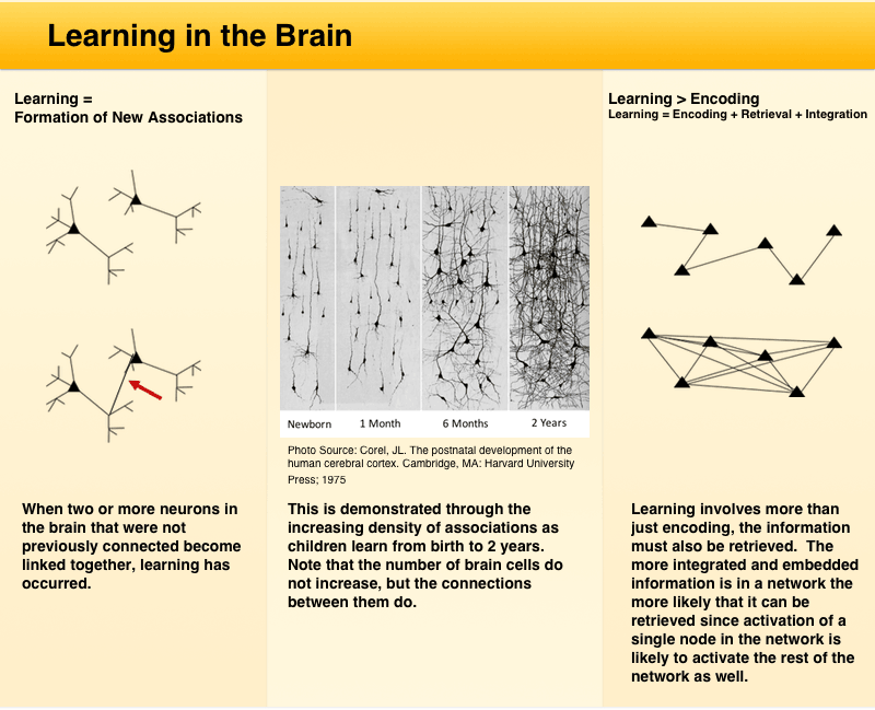 Using Neuroscience to Improve Math Learning