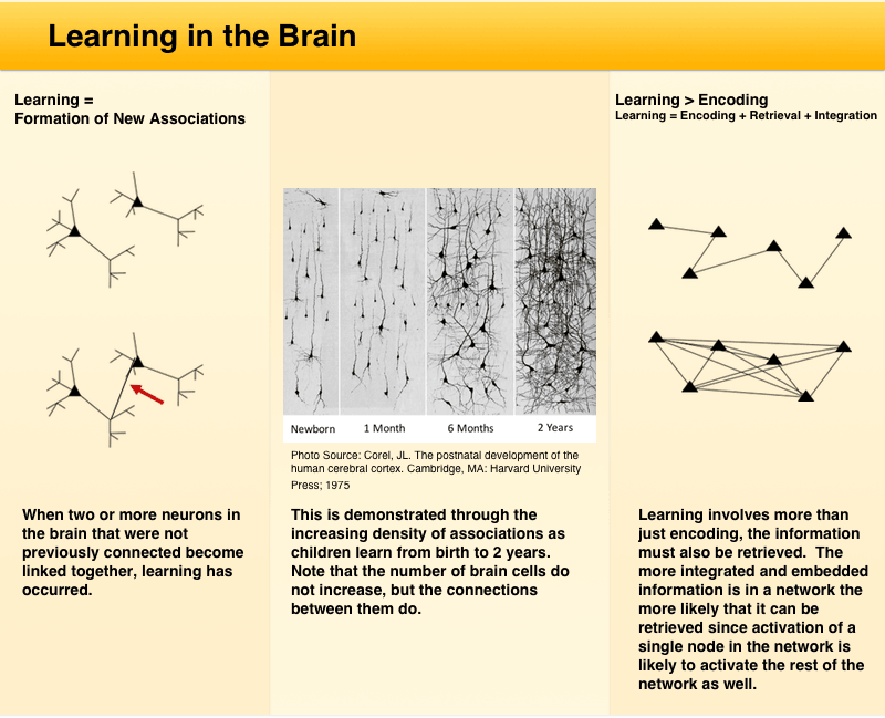 Learning-in-Brain