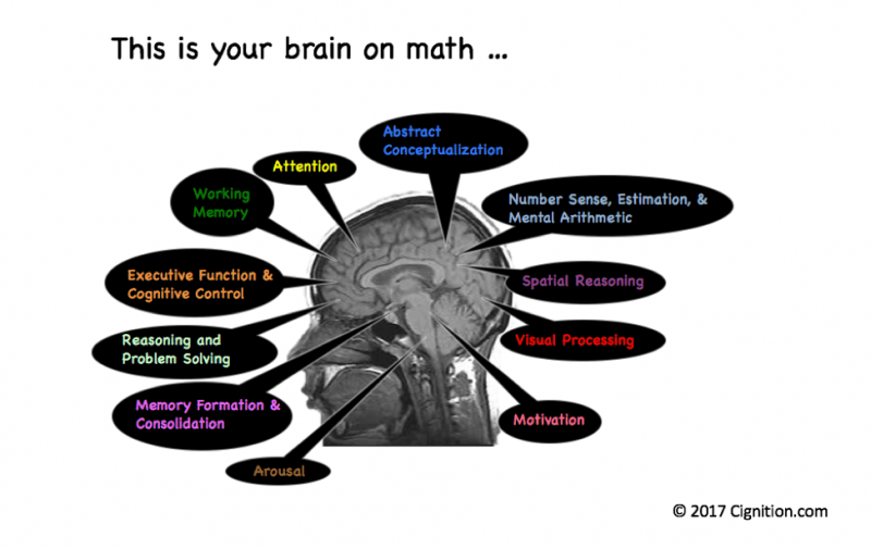 This is your brain on math
